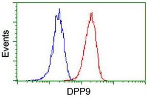 Flow cytometric Analysis of Jurkat cells, using anti-DPP9 antibody (ABIN2455373), (Red), compared to a nonspecific negative control antibody, (Blue). (DPP9 Antikörper)