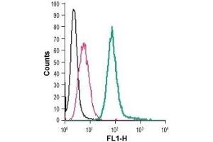 Flow Cytometry (FACS) image for anti-Egf-Like Module Containing, Mucin-Like, Hormone Receptor-Like 1 (EMR1) (AA 58-72), (Extracellular) antibody (FITC) (ABIN7043116)