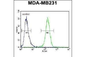 Flow cytometric analysis of MDA-MB231 cells (right histogram) compared to a negative control cell (left histogram). (SMIM14 Antikörper  (C-Term))