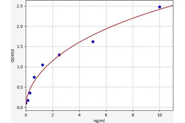 Grancalcin ELISA Kit