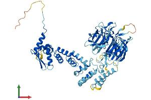 AlphaFold protein structure predicition of Mouse Recombinant Klhl25 Protein, UniprotID Q8R2P1