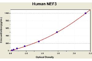 Diagramm of the ELISA kit to detect Human NEF3with the optical density on the x-axis and the concentration on the y-axis. (NEFM ELISA Kit)