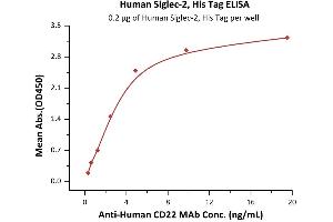 Immobilized Human Siglec-2, His Tag (ABIN5526644,ABIN5526645) at 2 μg/mL (100 μL/well) can bind A CD22 MAb with a linear range of 0.