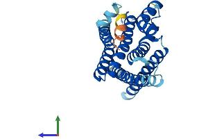 Protein Structure (PS) image for Anterior Pharynx Defective 1 Homolog B (Aph1b) (AA 1-257) protein (His tag) (ABIN7552331)