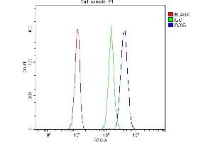 Flow Cytometry analysis of A549 cells using anti-SOX6 antibody (ABIN7603012).