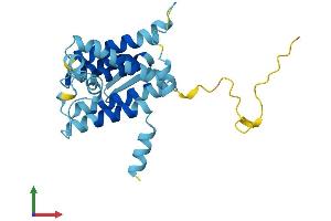 Protein Structure (PS) image for Der1-Like Domain Family, Member 2 (DERL2) (AA 1-239) protein (His tag) (ABIN7558782)