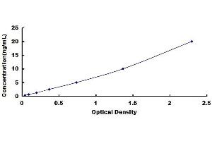 CRHR1 ELISA Kit