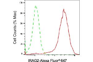 anti-IRAG2 antibody