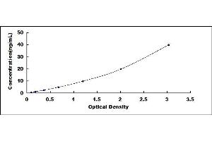 Typical standard curve (CES2 ELISA Kit)