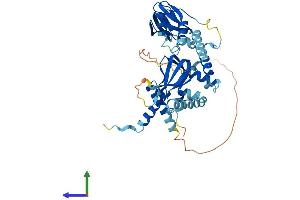Protein Structure (PS) image for Protein Kinase, CAMP-Dependent, Regulatory, Type II, beta (PRKAR2B) (AA 1-416) protein (His tag) (ABIN7563114)