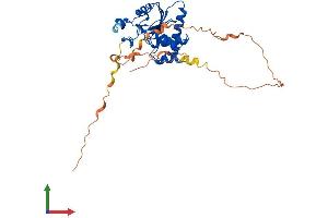 Protein Structure (PS) image for Dual Specificity Phosphatase 11 (RNA/RNP Complex 1-Interacting) (DUSP11) (AA 1-321) protein (His tag) (ABIN7557966)