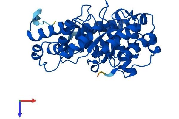 DERA Protein (AA 1-318) (His tag)