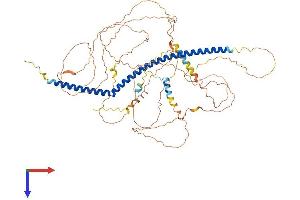 PLK1S1 Protein (AA 1-673) (His tag)
