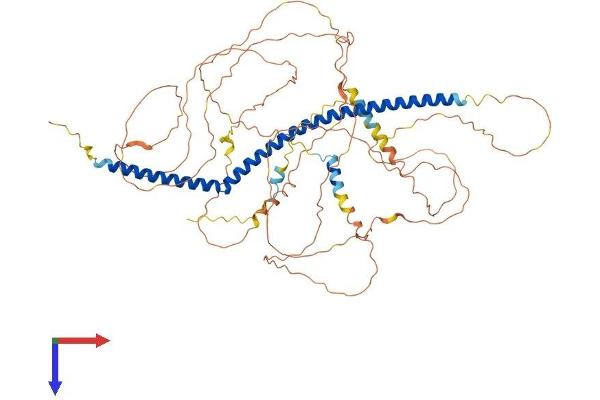 PLK1S1 Protein (AA 1-673) (His tag)