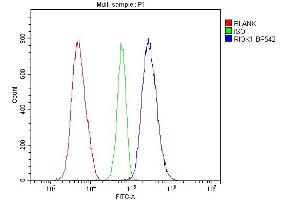 Flow Cytometry analysis of HL-60 cells using anti-RIOK1/RIO1 antibody (ABIN7599108).