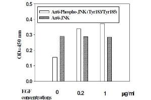 Hela cells were stimulated by different concentrations of anisomycin for 1 hour at 37 °C (JNK ELISA Kit)