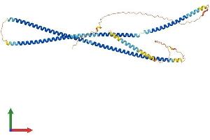 Protein Structure (PS) image for Internexin Neuronal Intermediate Filament Protein, alpha (INA) (AA 1-499) protein (His tag) (ABIN7551964)