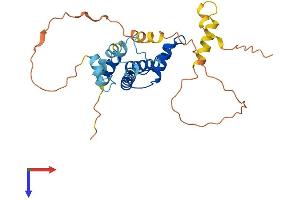 ACBD4 Protein (AA 1-268) (His tag)