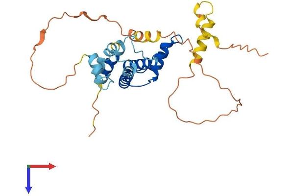 ACBD4 Protein (AA 1-268) (His tag)