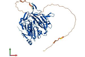 Protein Structure (PS) image for Regulator of Chromosome Condensation 2 (RCC2) (AA 1-520) protein (His tag) (ABIN7558716)