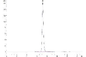 Size-exclusion chromatography-High Pressure Liquid Chromatography (SEC-HPLC) image for Resistin (RETN) (AA 17-108) protein (Fc Tag) (ABIN7275510)