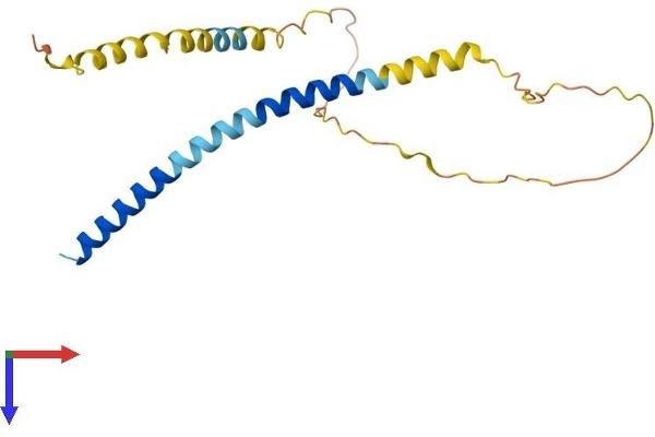 FATE1 Protein (AA 1-183) (His tag)