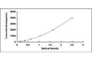 Ubiquitin (Ub) ELISA Kit