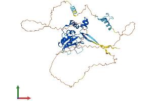 Protein Structure (PS) image for Suppressor of Cytokine Signaling 4 (SOCS4) (AA 1-440) protein (His tag) (ABIN7546144)
