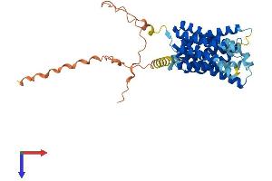 SLC35F1 Protein (AA 1-408) (His tag)
