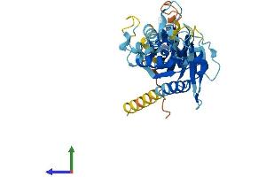Protein Structure (PS) image for GTP-Binding Protein 10 (GTPBP10) (AA 1-366) protein (His tag) (ABIN7559416)