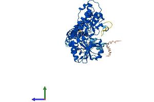 AlphaFold protein structure predicition of Mouse Recombinant Nt5dc3 Protein, UniprotID Q3UHB1