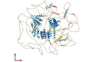 AlphaFold protein structure predicition of Human Recombinant EIF4G3 Protein, UniprotID O43432