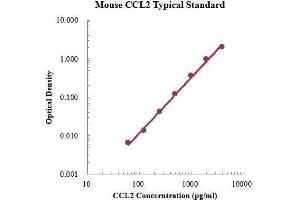 ELISA image for Chemokine (C-C Motif) Ligand 2 (CCL2) ELISA Kit (ABIN3198406)