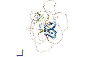AlphaFold protein structure predicition of Human Recombinant MLXIPL Protein, UniprotID Q9NP71