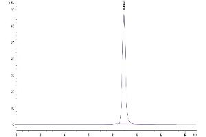 Size-exclusion chromatography-High Pressure Liquid Chromatography (SEC-HPLC) image for V-Set and Immunoglobulin Domain Containing 1 (VSIG1) (AA 23-234) protein (His tag) (ABIN7274770)