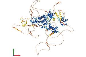 Protein Structure (PS) image for tyrosine Kinase, Non-Receptor, 2 (TNK2) (AA 1-1055) protein (His tag) (ABIN7562457)
