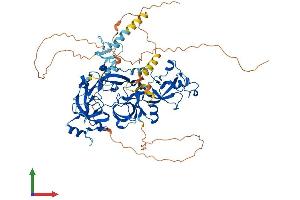 Protein Structure (PS) image for Lethal(3) Malignant Brain Tumor-Like Protein 2 (L3MBTL2) (AA 1-703) protein (His tag) (ABIN7563476)