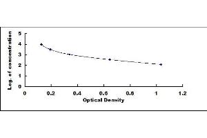 Typical standard curve (MSH alpha ELISA Kit)