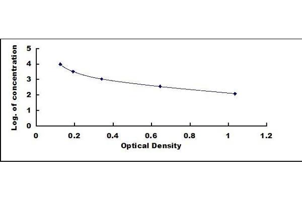 MSH alpha ELISA Kit