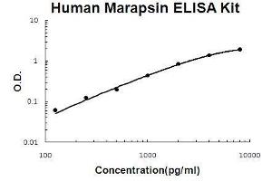 Human Marapsin/Pancresin PicoKine ELISA Kit standard curve (PRSS27 ELISA Kit)