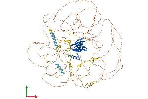 AlphaFold protein structure predicition of Human Recombinant SYNPO2 Protein, UniprotID Q9UMS6