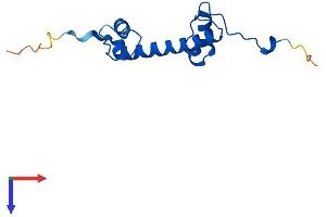 H2AFV Protein (AA 1-128) (His tag)