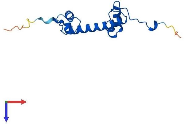 H2AFV Protein (AA 1-128) (His tag)
