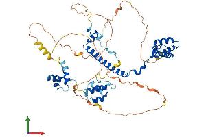 AlphaFold protein structure predicition of Human Recombinant RCOR3 Protein, UniprotID Q9P2K3