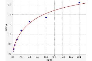 Adenosine A2a Receptor ELISA Kit