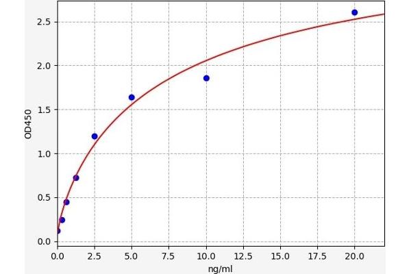 Adenosine A2a Receptor ELISA Kit