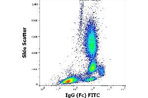 Flow cytometry surface staining pattern of human peripheral whole blood stained using anti-human IgG (Fc) (EM-07) FITC antibody (3 μL reagent / 100 μL of peripheral whole blood). (Maus anti-Human IgG Fc (Fc Region) Antikörper (FITC))