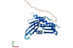 Protein Structure (PS) image for Exosome Component 5 (EXOSC5) (AA 1-235) protein (His tag) (ABIN7553886)