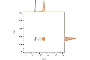 Flow cytometry of bead-bound exosomes derived from MCF-7 cells. (CD9 Antikörper)