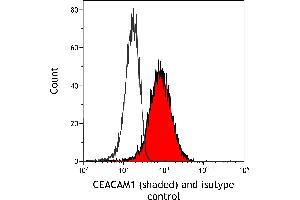 anti-Carcinoembryonic Antigen-Related Cell Adhesion Molecule 1 (CEACAM1) (AA 35-433) antibody